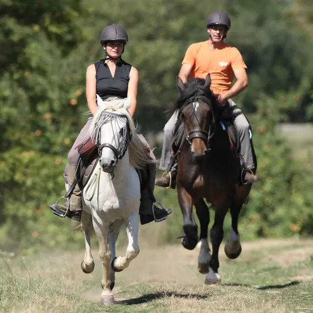 Randonnée équestre